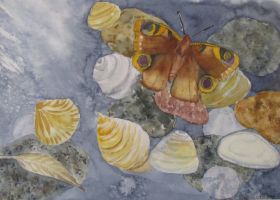 04 (1).05.2010 037.JPG