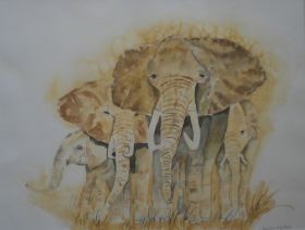 Elefant.JPG