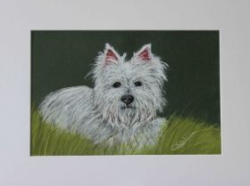 Kleiner-Hund.jpg