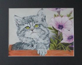 Katze.jpg